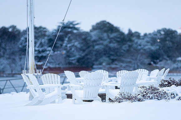 Snow 012222-6218