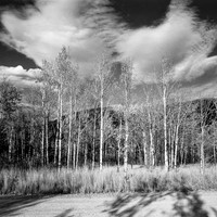 untitled-020