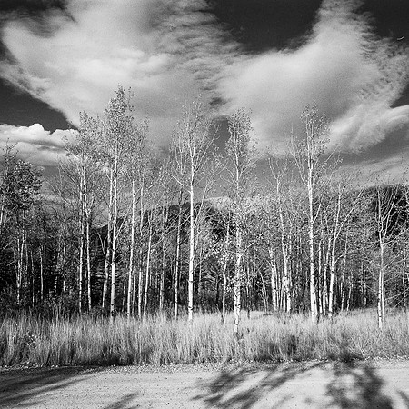 untitled-020