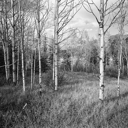 untitled-019