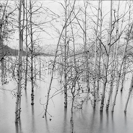 untitled-018