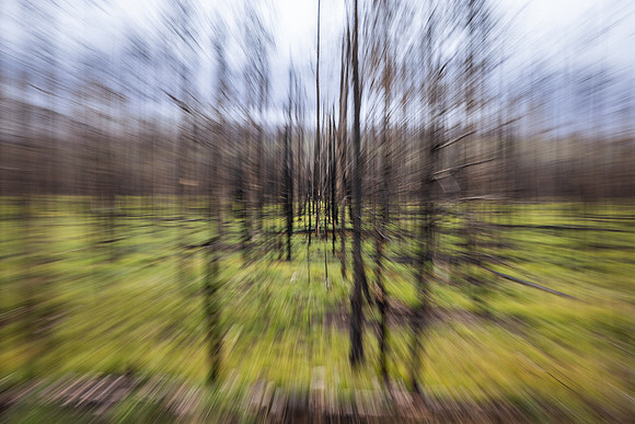 untitled-6797