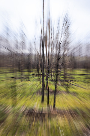 untitled-6800