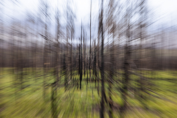 untitled-6796