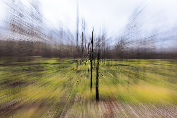 untitled-6795