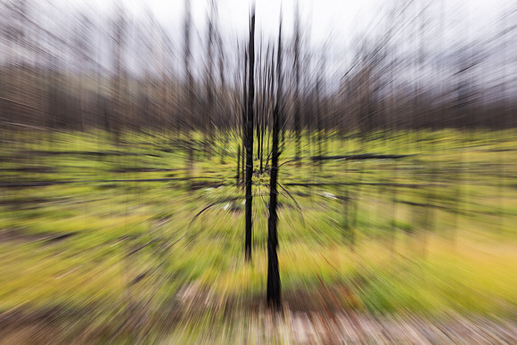 untitled-6794