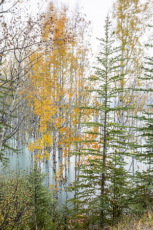 untitled-4775