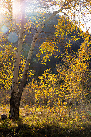 untitled-4732