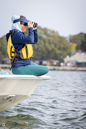 ICSA RC-2690