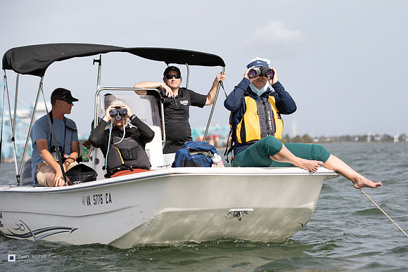 ICSA RC-2-14