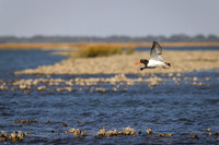 untitled-1408