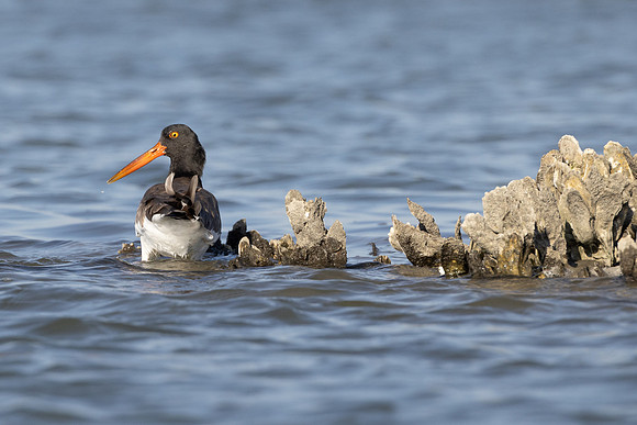 untitled-1329