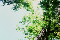 untitled-2-57