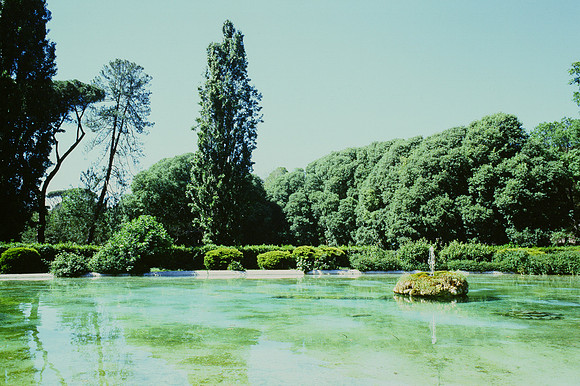 untitled-2-5