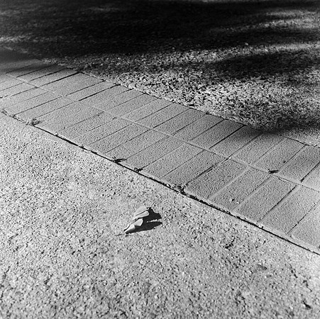 untitled-2-71