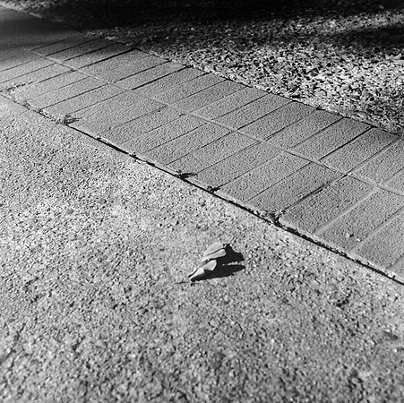 untitled-2-65