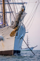 Sail250VA-0540