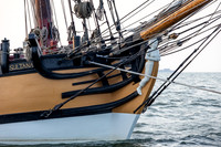 Sail250VA-0464