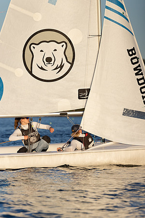 Bowdoin ACC1B -9994
