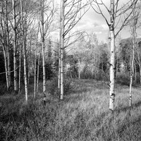 untitled-019
