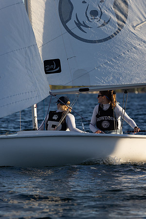 Bowdoin ACC1B -9530