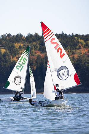 Bowdoin ACC1B -7160