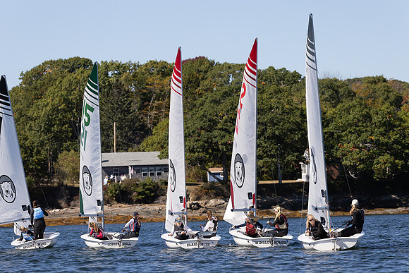 Bowdoin ACC1B -8138
