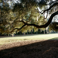 untitled-101045020006