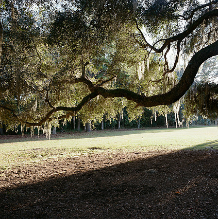 untitled-101045020006