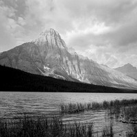 untitled-010