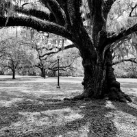 untitled-2-6