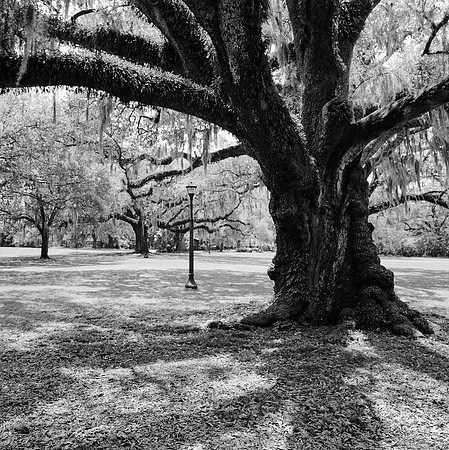 untitled-2-6