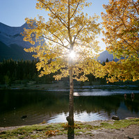 untitled-972440070007