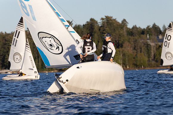 Bowdoin ACC1B -9673