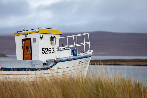 Iceland 2024-3876