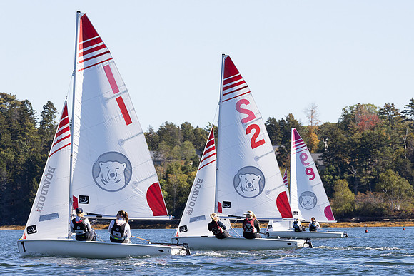Bowdoin ACC1B -8407