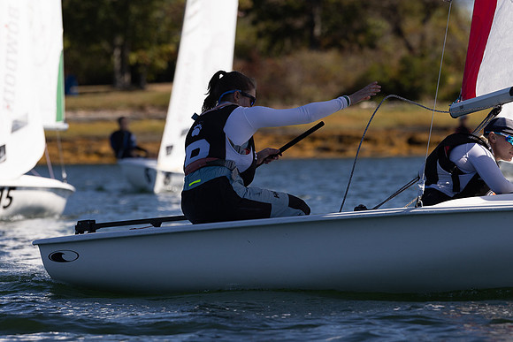 Bowdoin ACC1B -8480