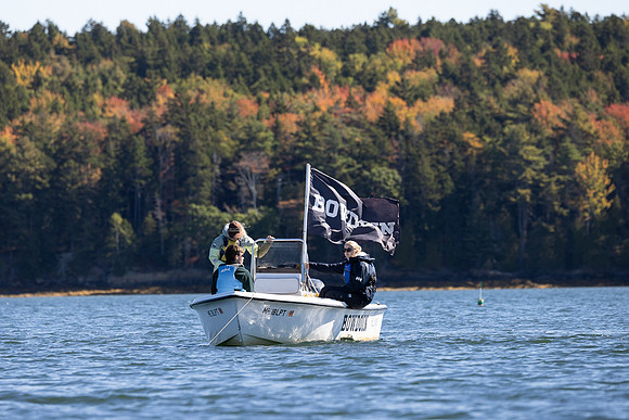 Bowdoin ACC1B -8041