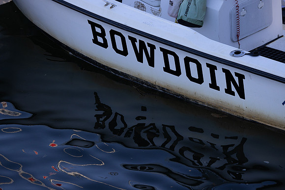 Bowdoin ACC1B -6661