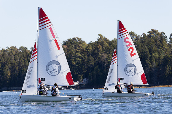 Bowdoin ACC1B -8410