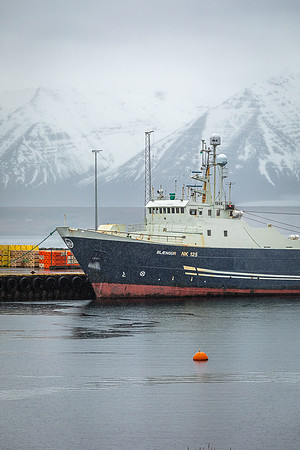 Iceland 2024-4310