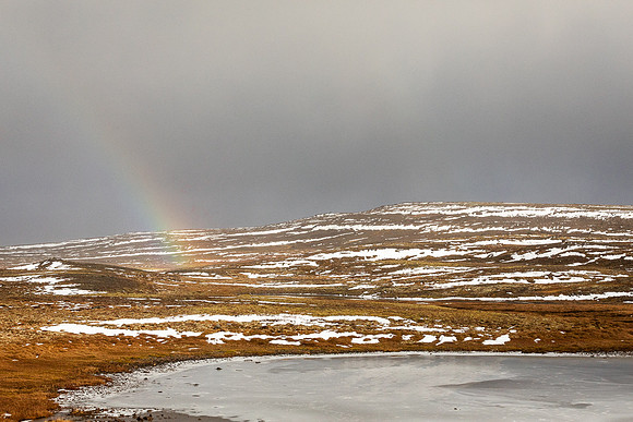 Iceland 2024-3907
