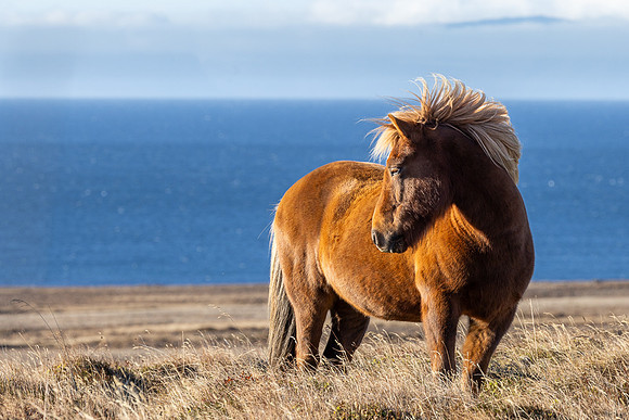 Iceland 2024-1725