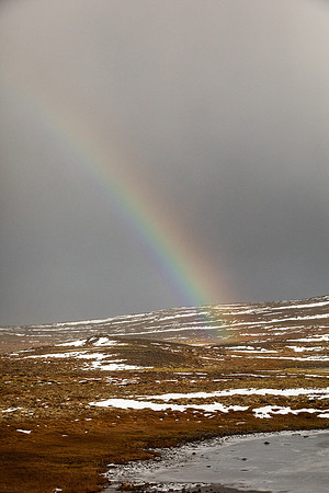 Iceland 2024-3904
