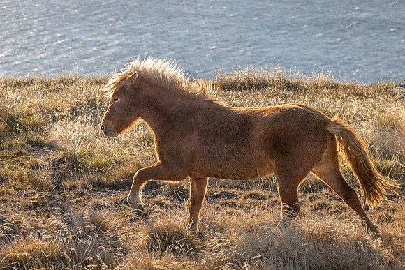 Iceland 2024-2410
