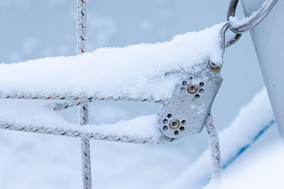 Snow 012222-6268